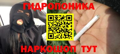 прущие крисы Чебоксары