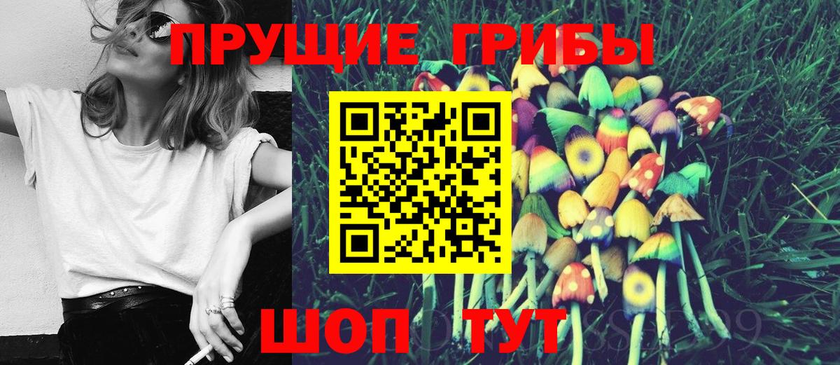 Псилоцибиновые грибы Psilocybine cubensis  закладка  Галлюциногенные грибы Psilocybine cubensis  Всеволожск  Вход с VPN 