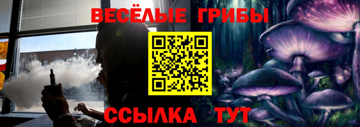 Псилоцибиновые грибы Psilocybe Всеволожск